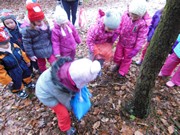 Výprava do lesa, krmení zvířátek